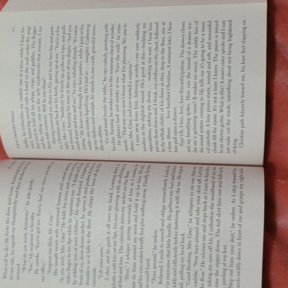 Fifty Shades Of Grey Book Series - Picture 15 of 16